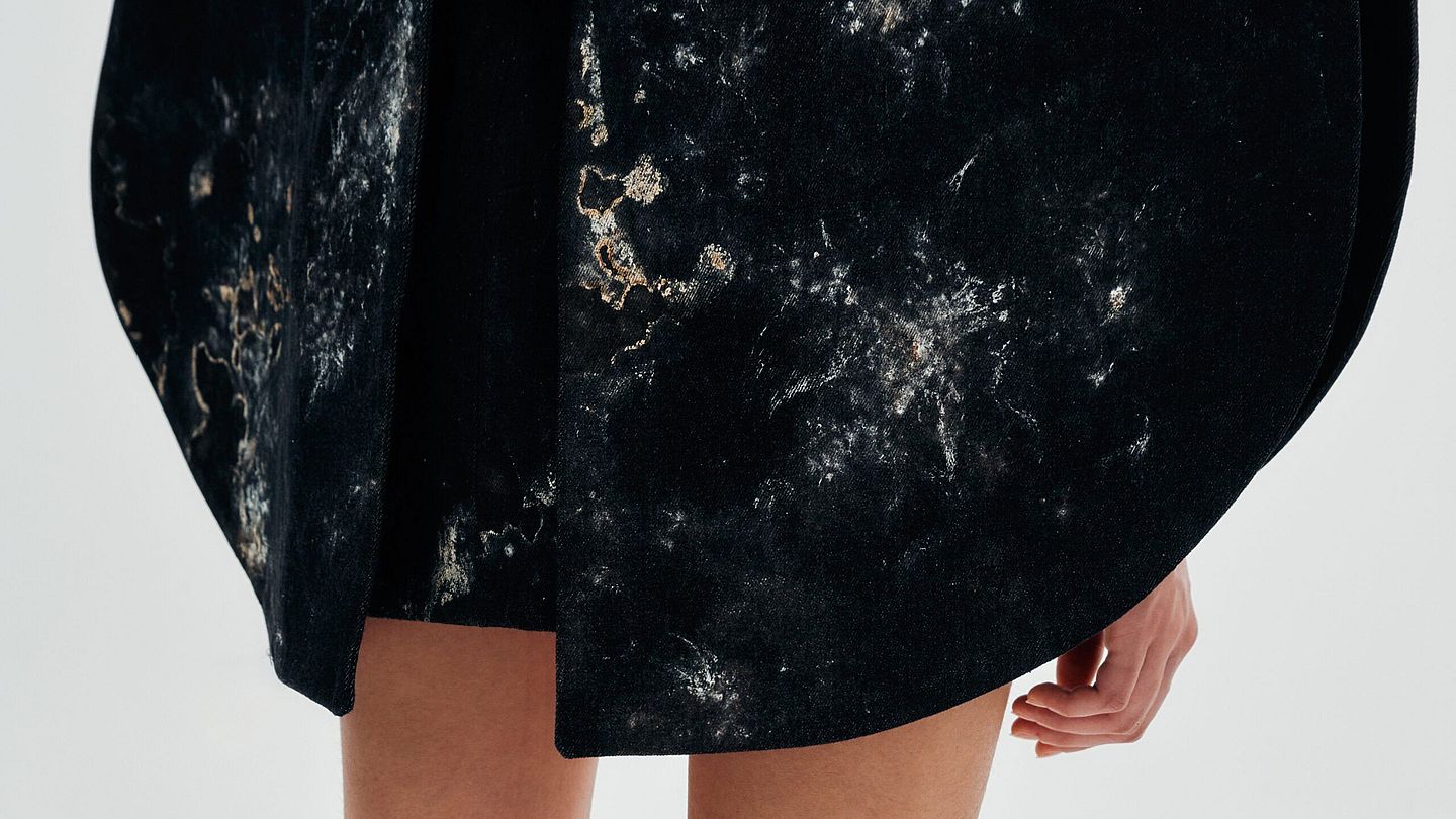 mycelium interwoven-7